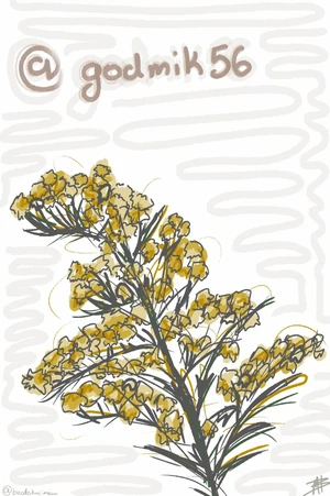 Artwork preview image