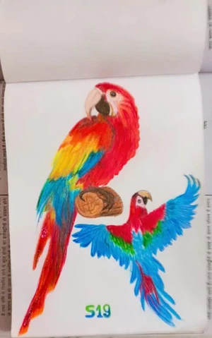 Artwork preview image