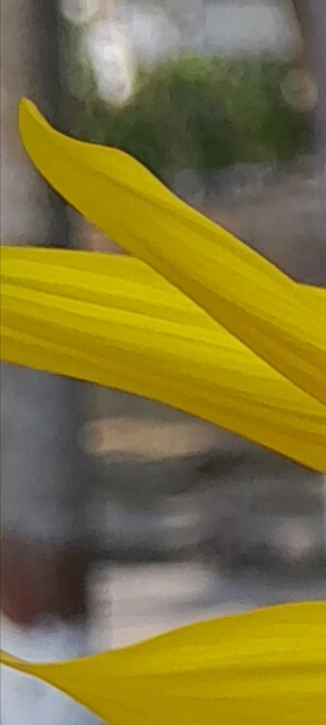 Artwork preview image