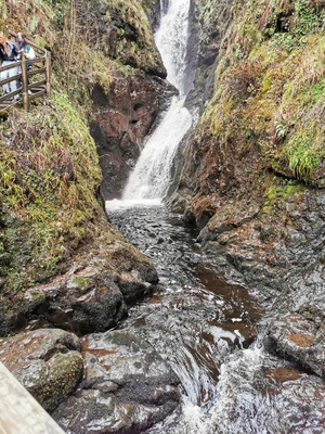 Artwork preview image