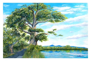 Artwork image