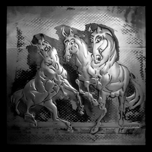 Wild horses