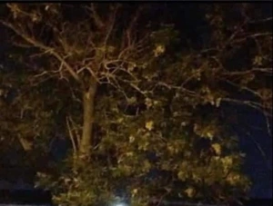 Artwork preview image