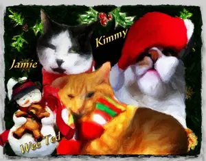 Artwork preview image