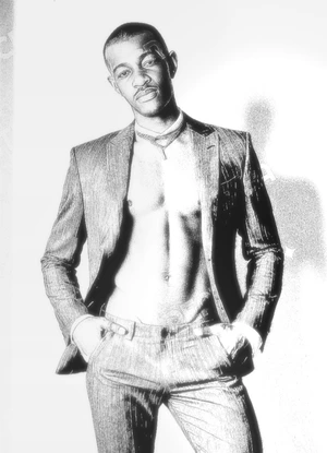 Artwork preview image