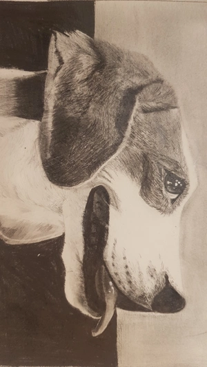 Artwork preview image