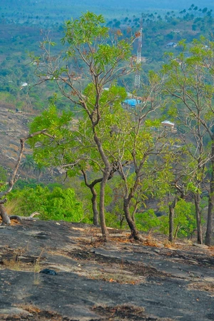 Artwork preview image