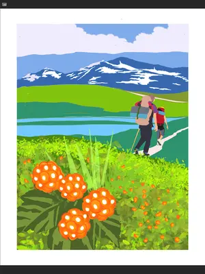 Artwork preview image