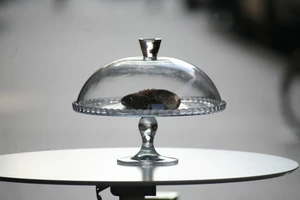 IMG 0002