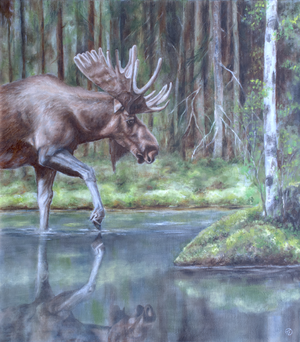 Artwork image