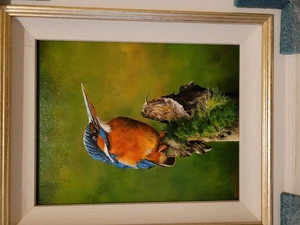 kingfisher 