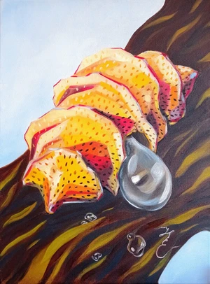 Artwork image