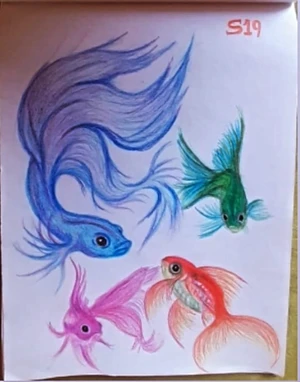 Artwork preview image