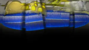 Artwork preview image