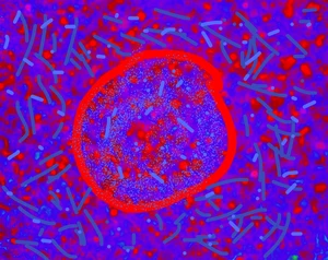 Artwork image