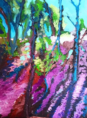 bosque en Colon