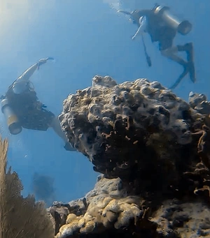 Artwork preview image