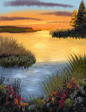 The Beautiful Glare of Nature
