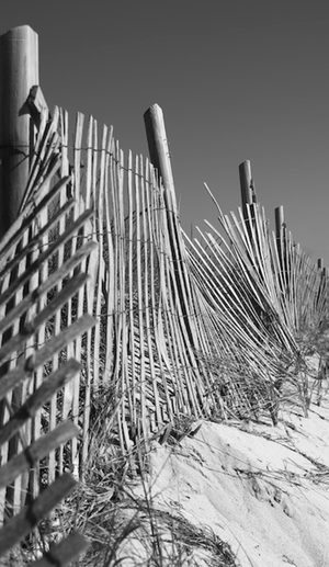 Artwork preview image