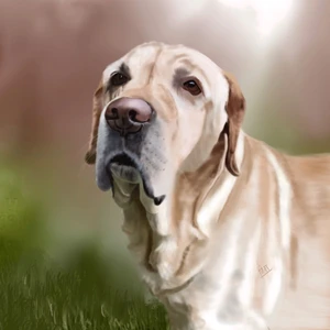 Artwork preview image