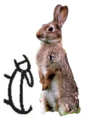 甲骨文–兔 Rabbit