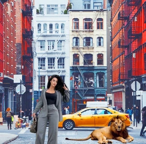 Artwork preview image