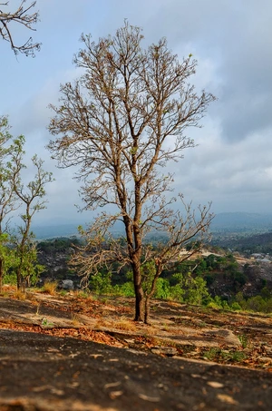 Artwork preview image