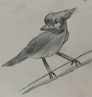 A realistic bird
