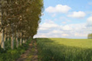 Artwork preview image