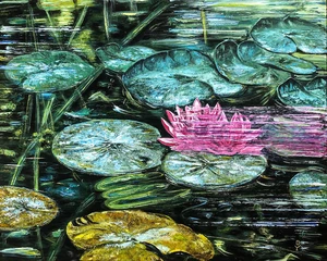 Water Lilies
