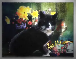 Artwork preview image