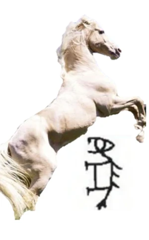 甲骨文–馬 Horse