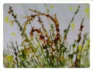 Artwork preview image