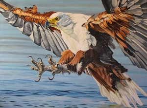 Fish Eagle