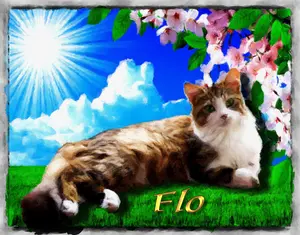 Artwork preview image