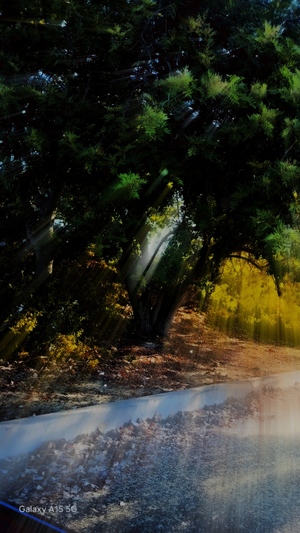 Artwork preview image