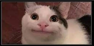 meme3