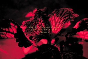 Artwork preview image