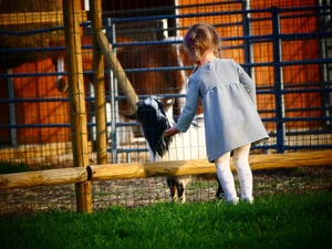 Artwork preview image