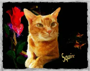 Artwork preview image