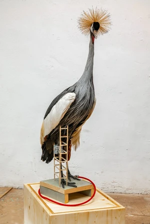 Artwork image