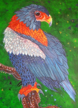 Artwork preview image