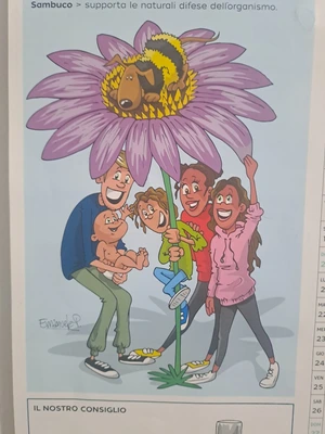 Artwork preview image