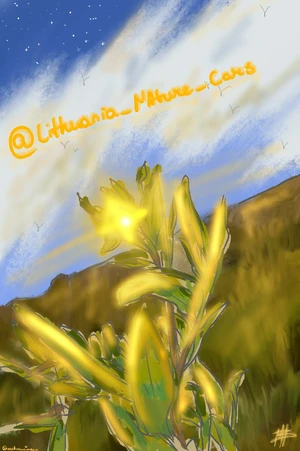 Artwork preview image