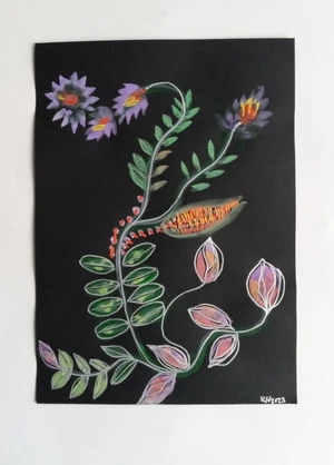 Artwork preview image