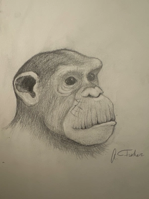 Artwork preview image