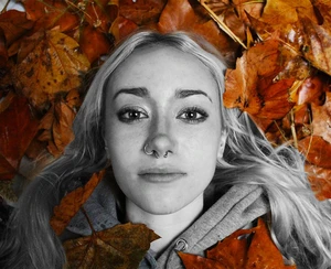 Artwork preview image