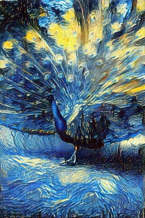 Peacock 