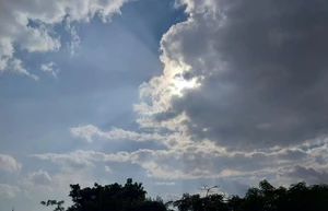 Artwork preview image