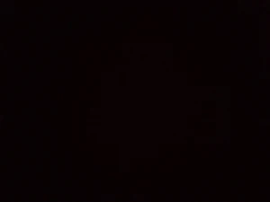 IMG 20230908 123944 991